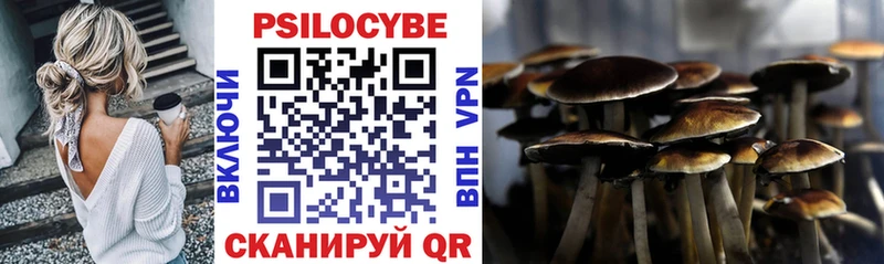 Псилоцибиновые грибы прущие грибы  Брянск 