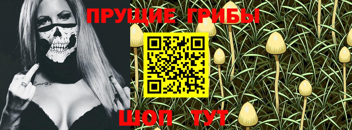 Псилоцибиновые грибы Magic Shrooms  Брянск  Псилоцибиновые грибы Psilocybe 