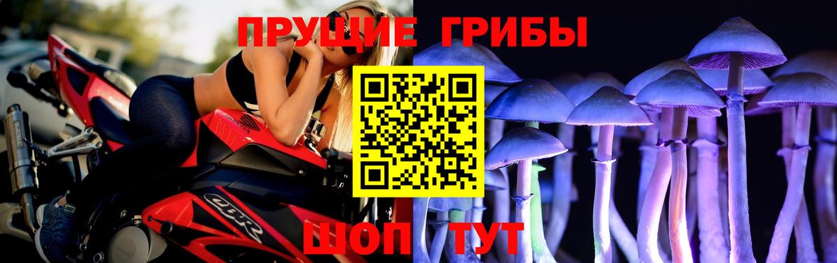 Брянск  Псилоцибиновые грибы прущие грибы  Вход с VPN 